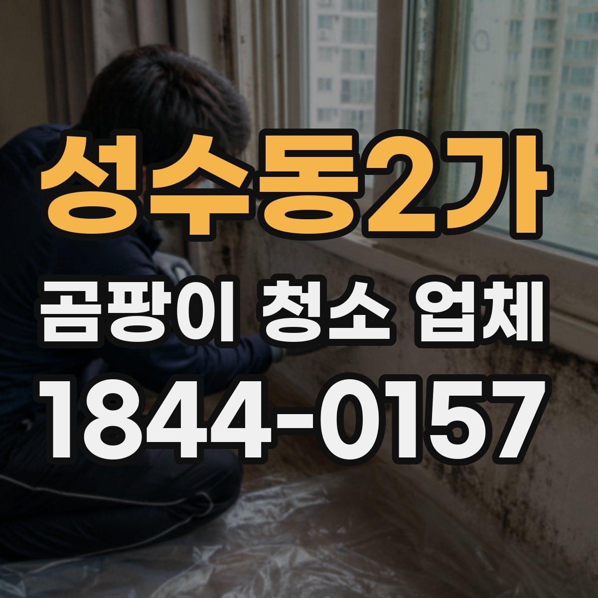 성수동2가 곰팡이 청소 업체