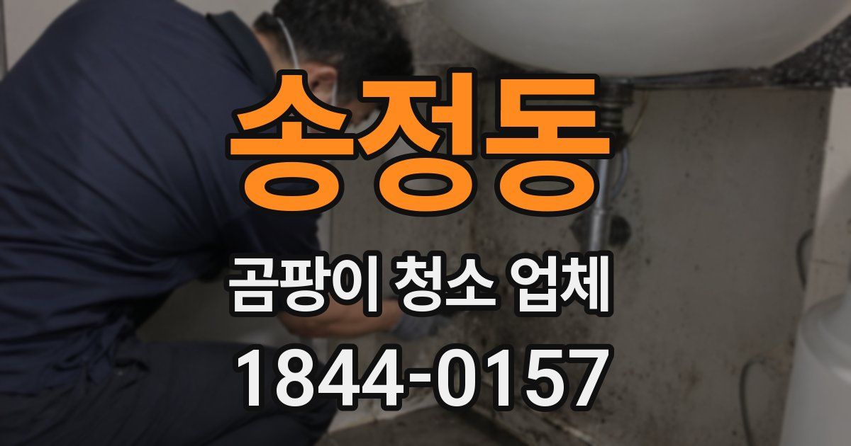 송정동 곰팡이 청소 업체