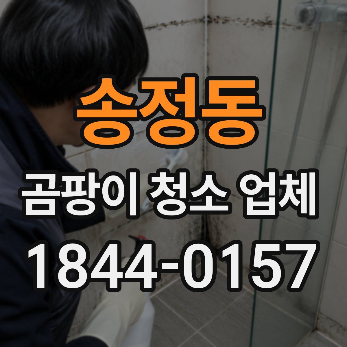 송정동 곰팡이 청소 업체