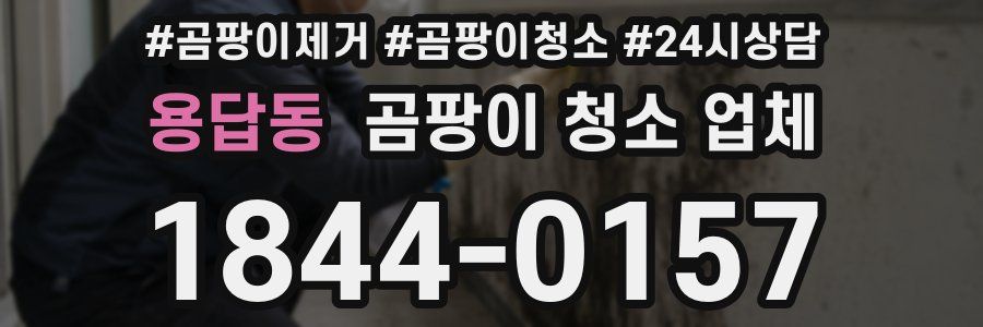 용답동 곰팡이 청소 업체