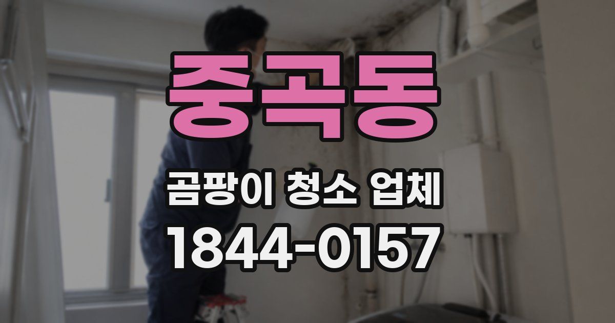 중곡동 곰팡이 청소 업체