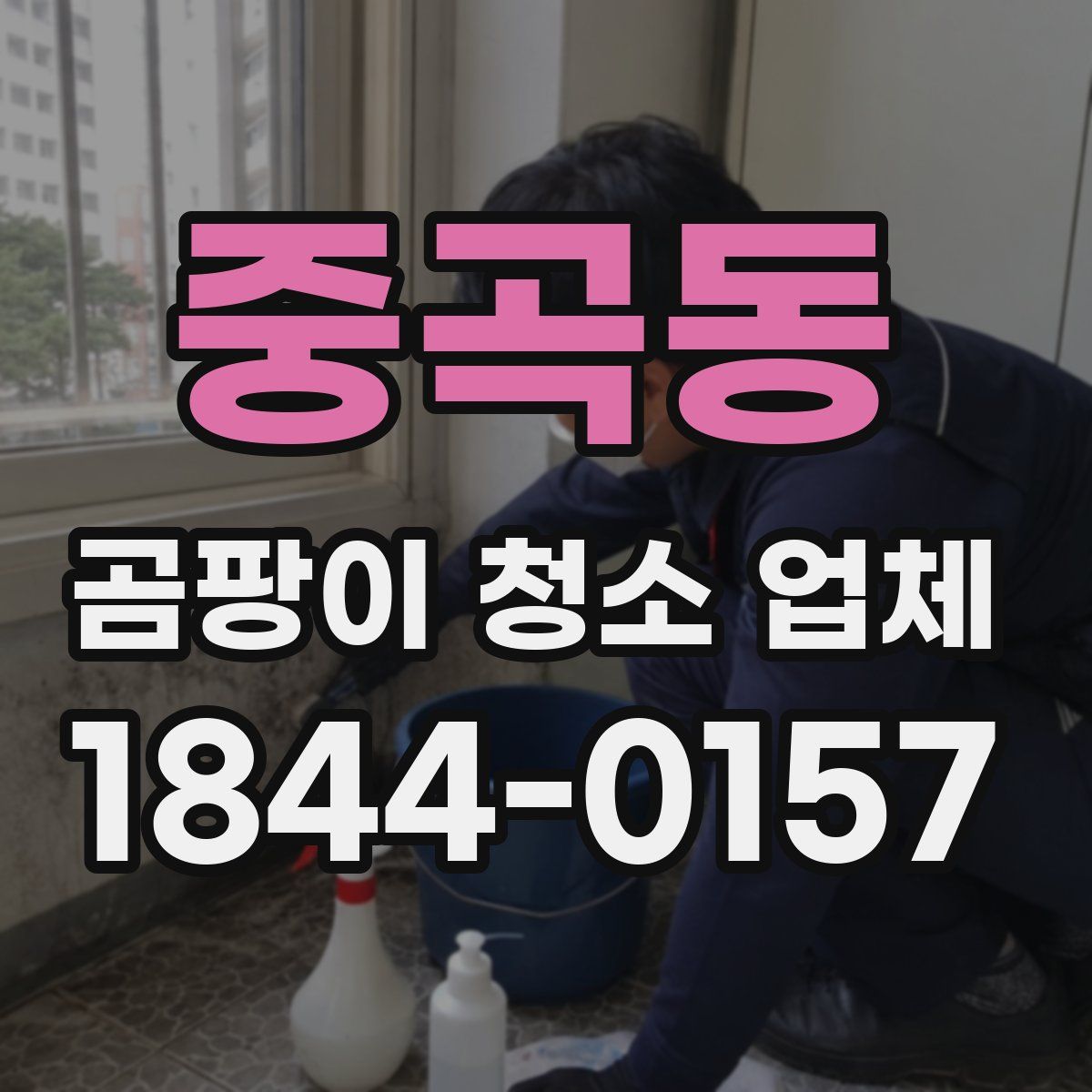 중곡동 곰팡이 청소 업체