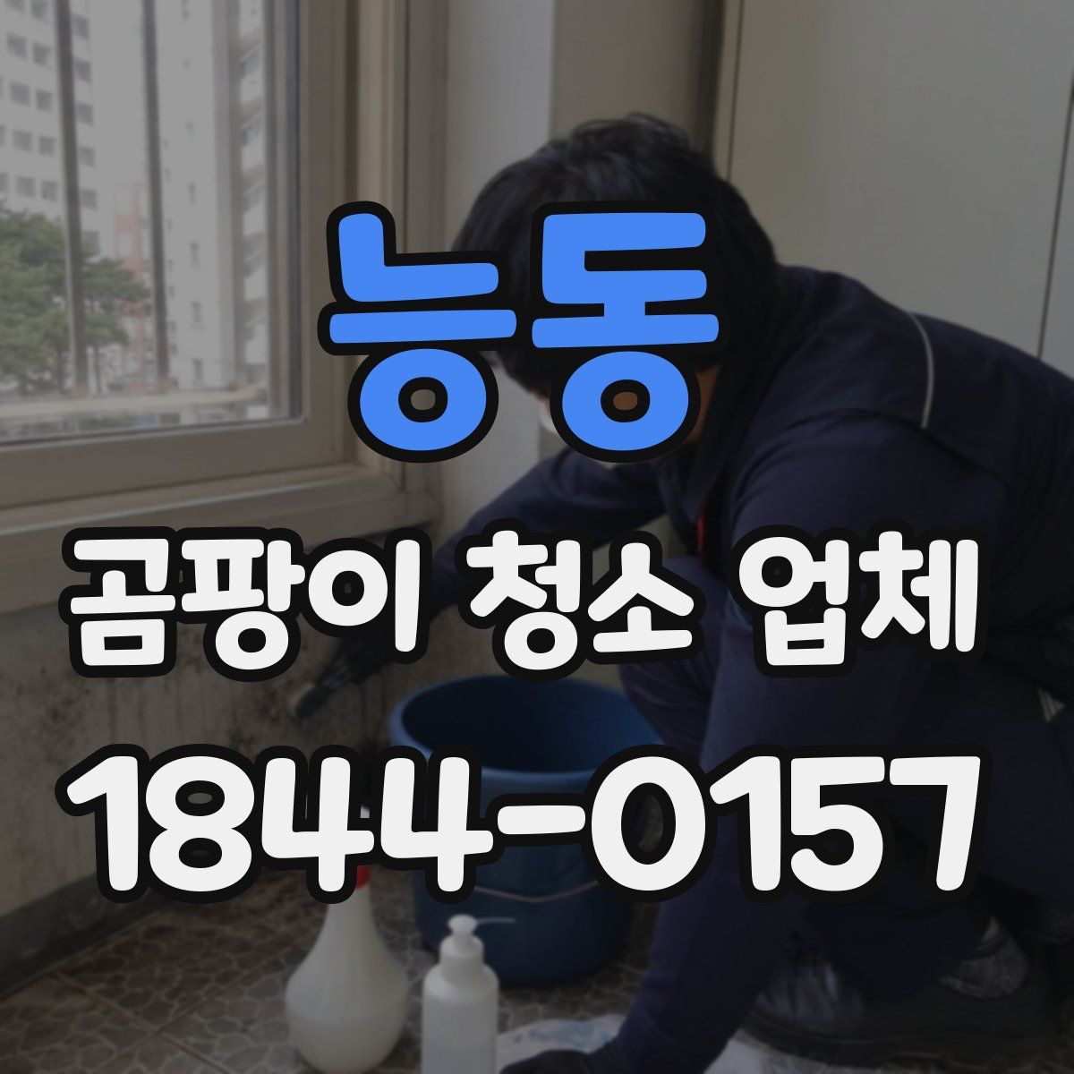 능동 곰팡이 청소 업체