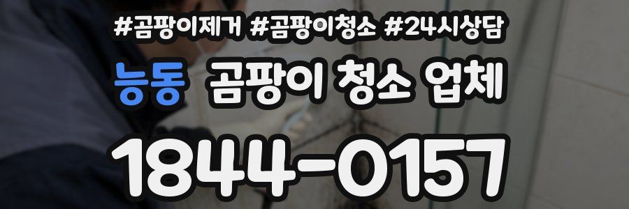능동 곰팡이 청소 업체