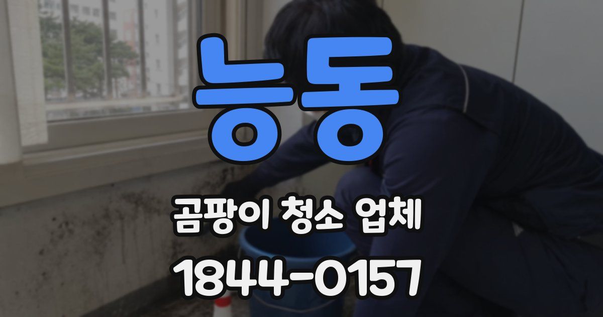 능동 곰팡이 청소 업체