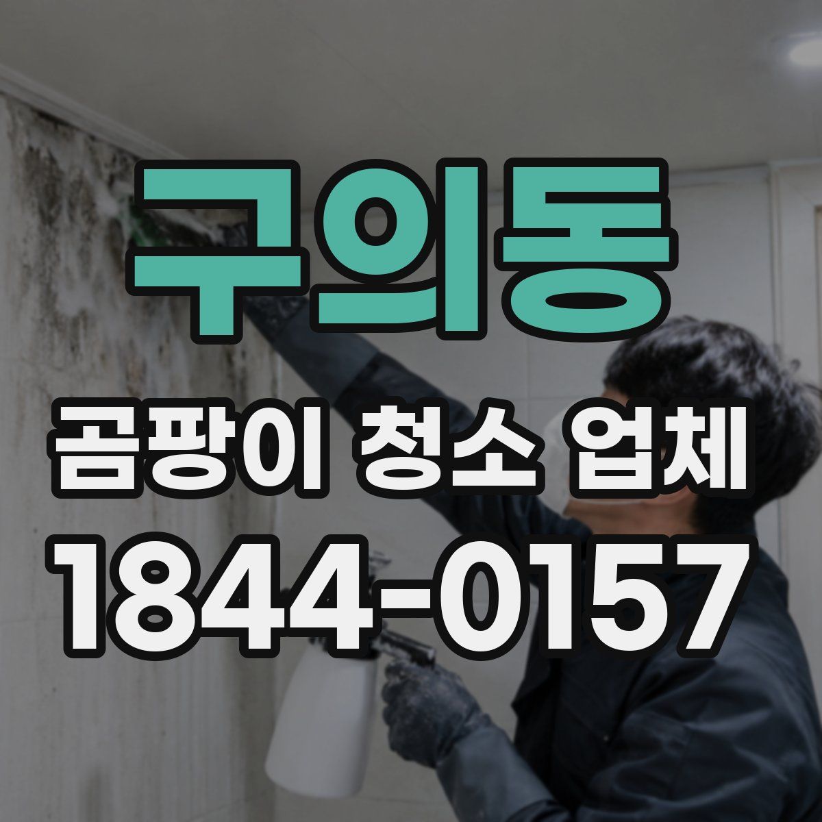 구의동 곰팡이 청소 업체