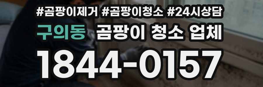 구의동 곰팡이 청소 업체