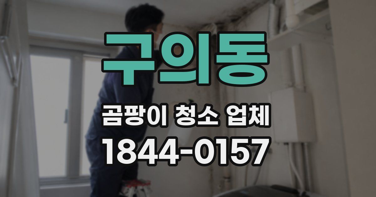 구의동 곰팡이 청소 업체
