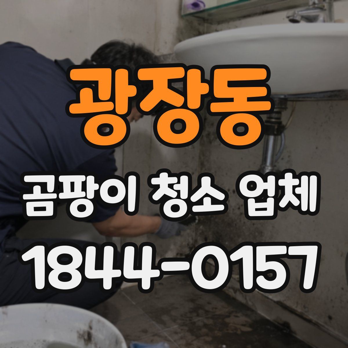 광장동 곰팡이 청소 업체