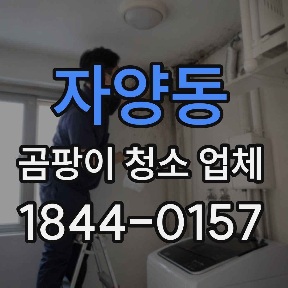 자양동 곰팡이 청소 업체