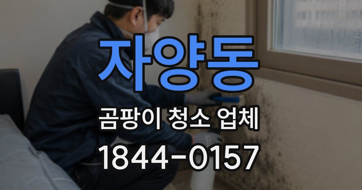 자양동 곰팡이 청소 업체