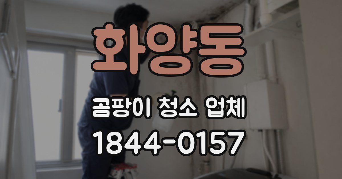 화양동 곰팡이 청소 업체