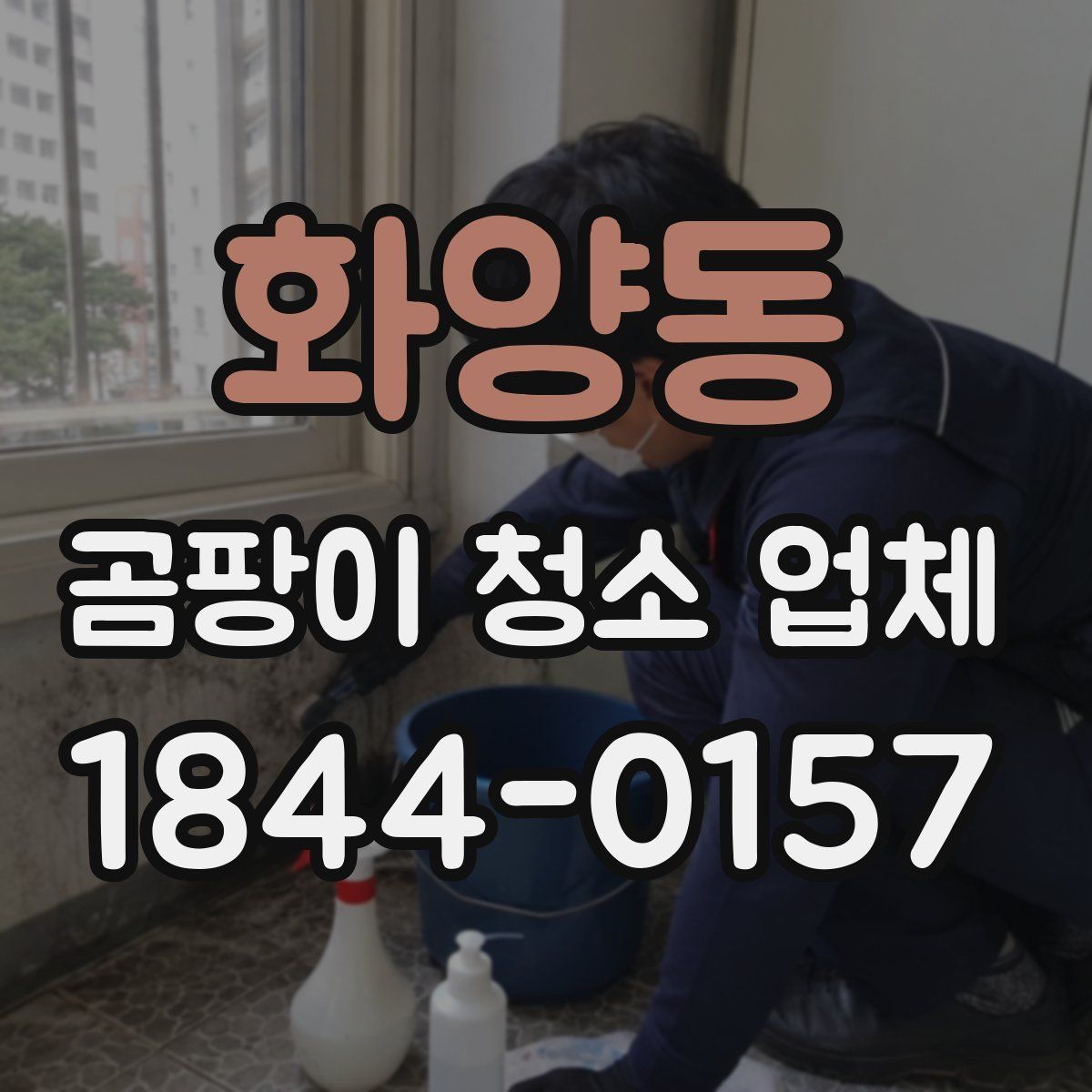 화양동 곰팡이 청소 업체