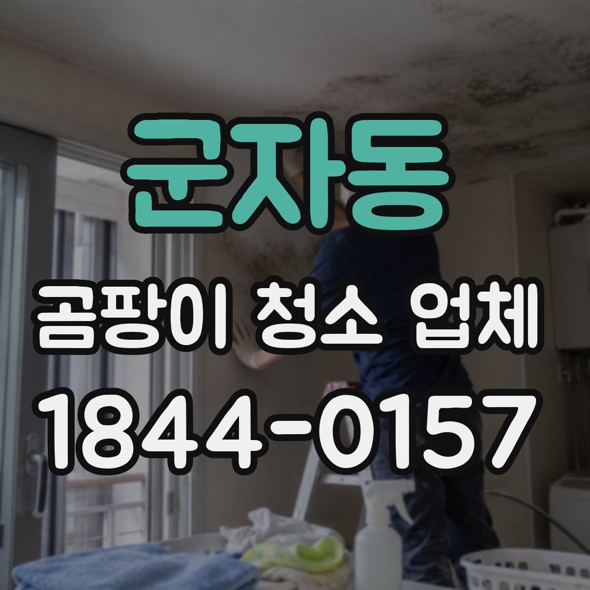 군자동 곰팡이 청소 업체