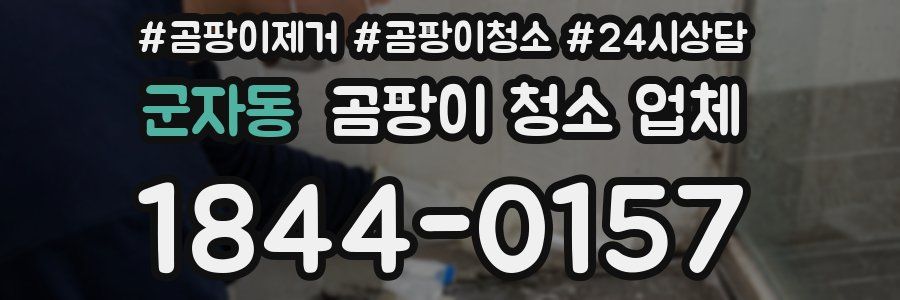 군자동 곰팡이 청소 업체