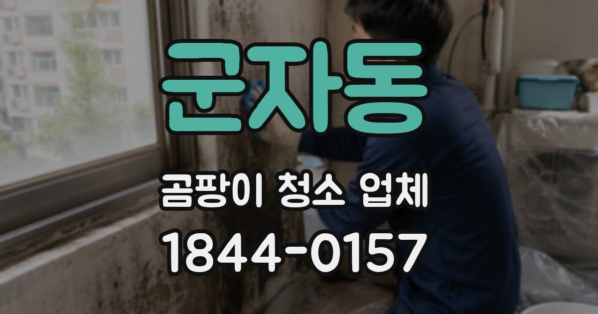 군자동 곰팡이 청소 업체
