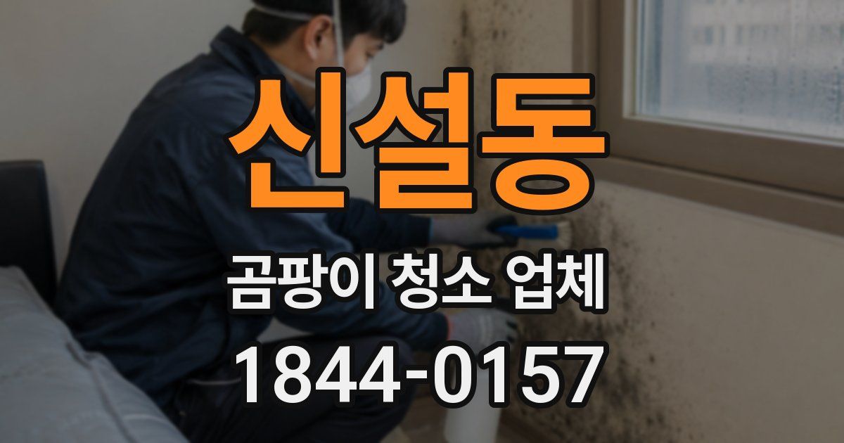 신설동 곰팡이 청소 업체