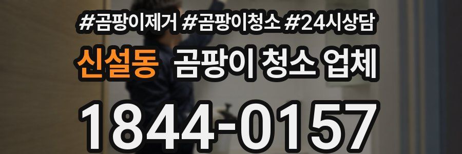 신설동 곰팡이 청소 업체