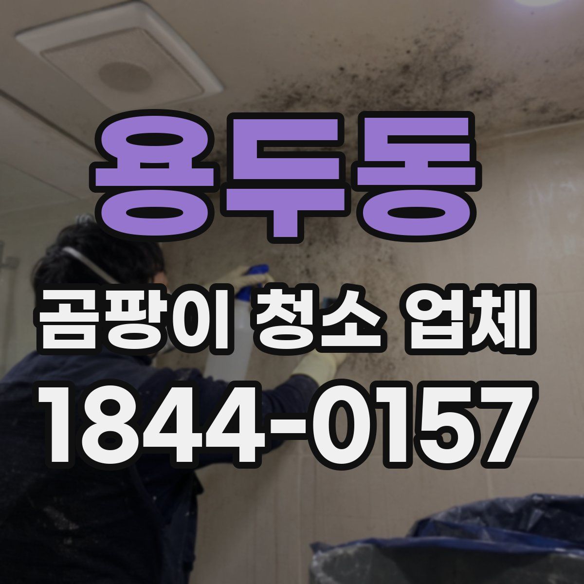 용두동 곰팡이 청소 업체