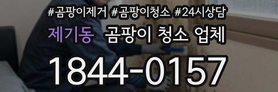 제기동 곰팡이 청소 업체