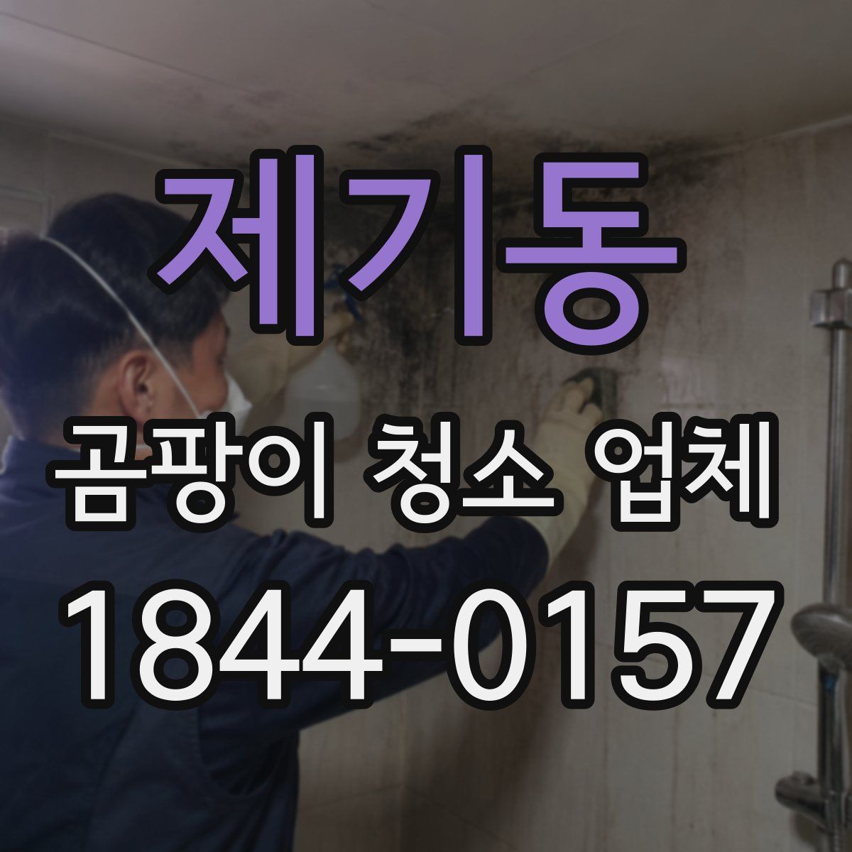 제기동 곰팡이 청소 업체