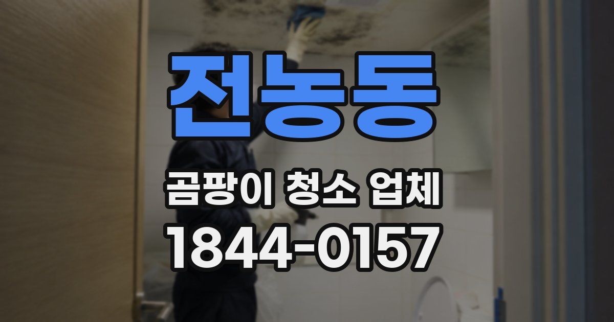 전농동 곰팡이 청소 업체