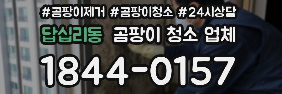 답십리동 곰팡이 청소 업체