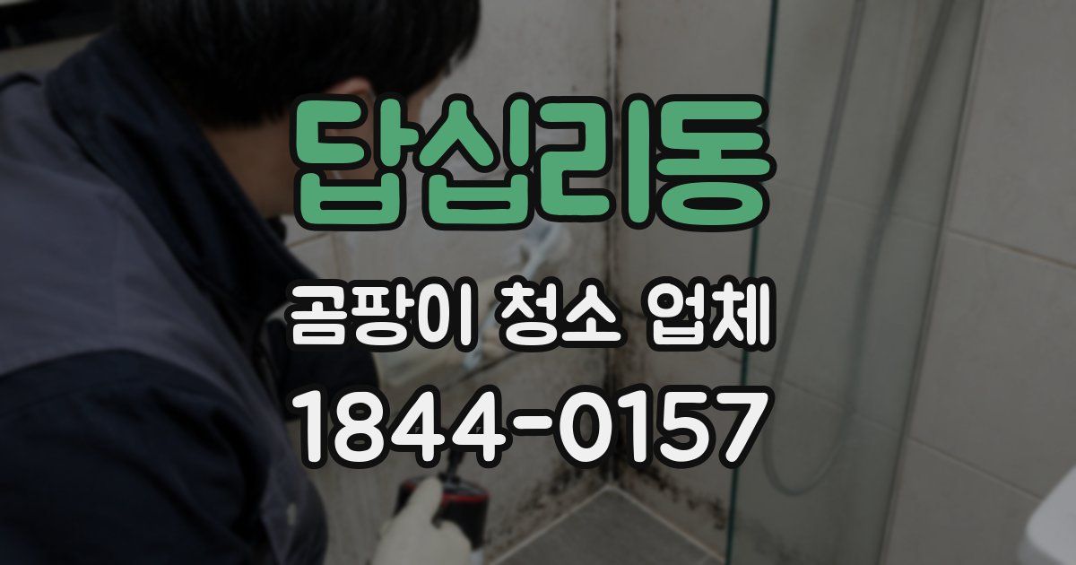 답십리동 곰팡이 청소 업체