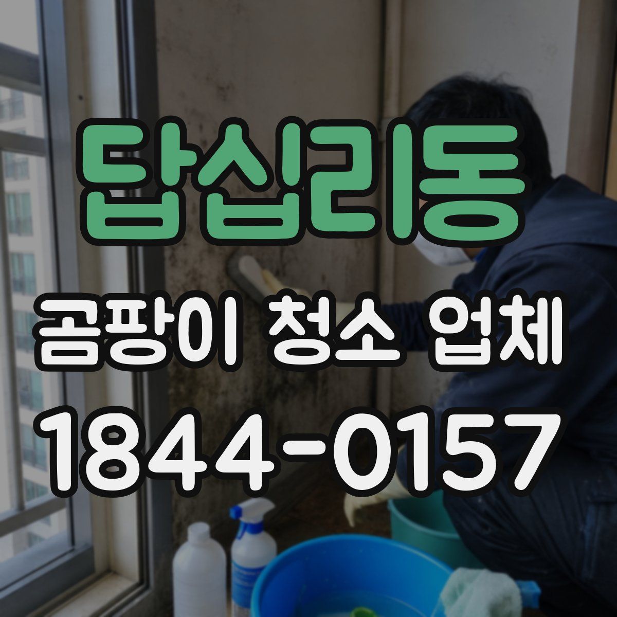 답십리동 곰팡이 청소 업체