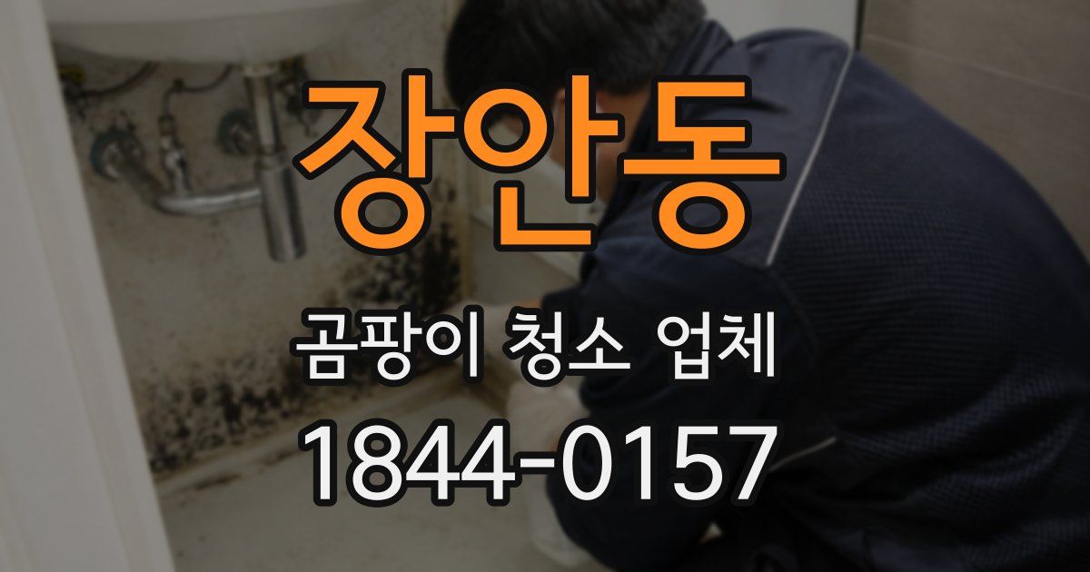 장안동 곰팡이 청소 업체