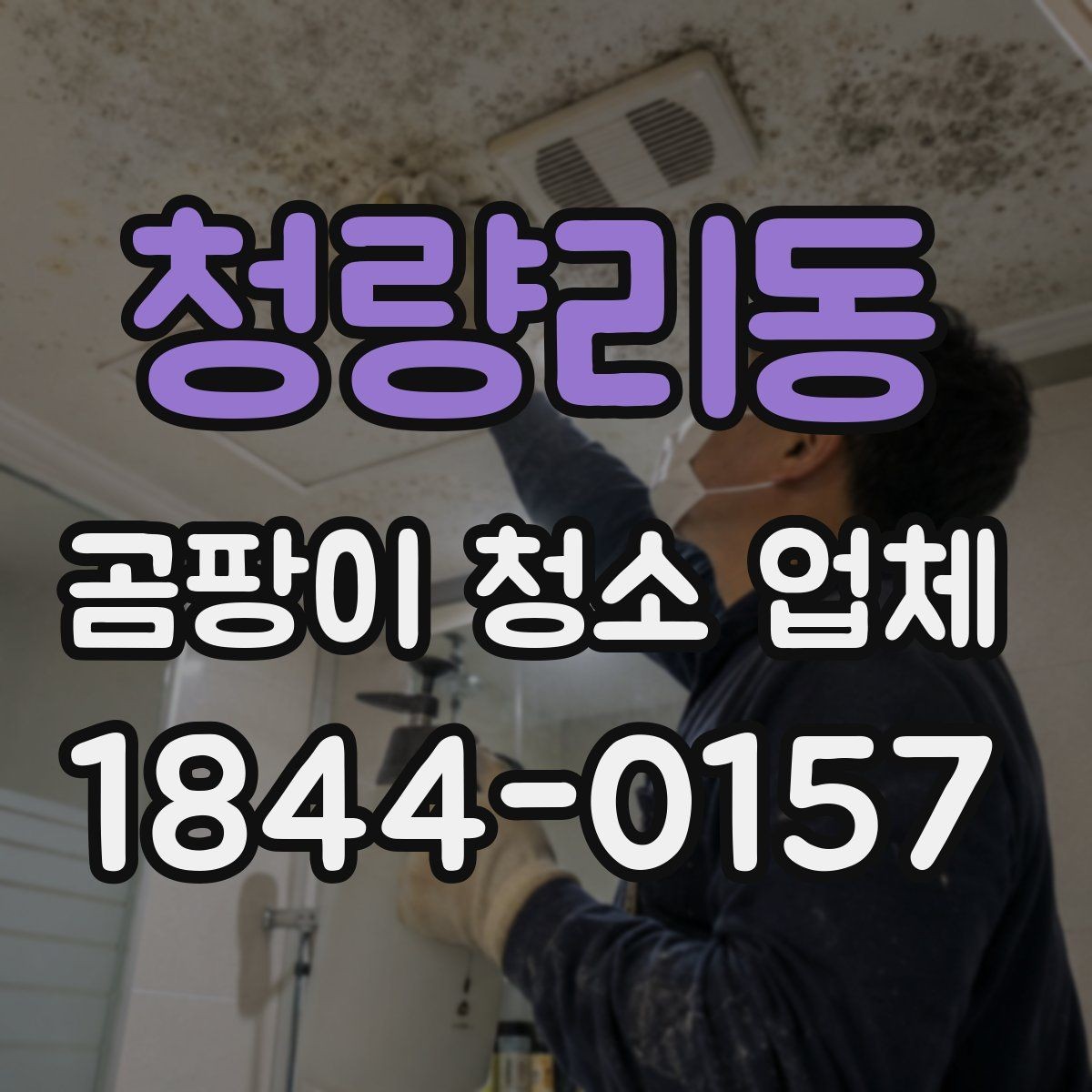 청량리동 곰팡이 청소 업체 침대 아래 숨어 있는 오염까지 보는 이유