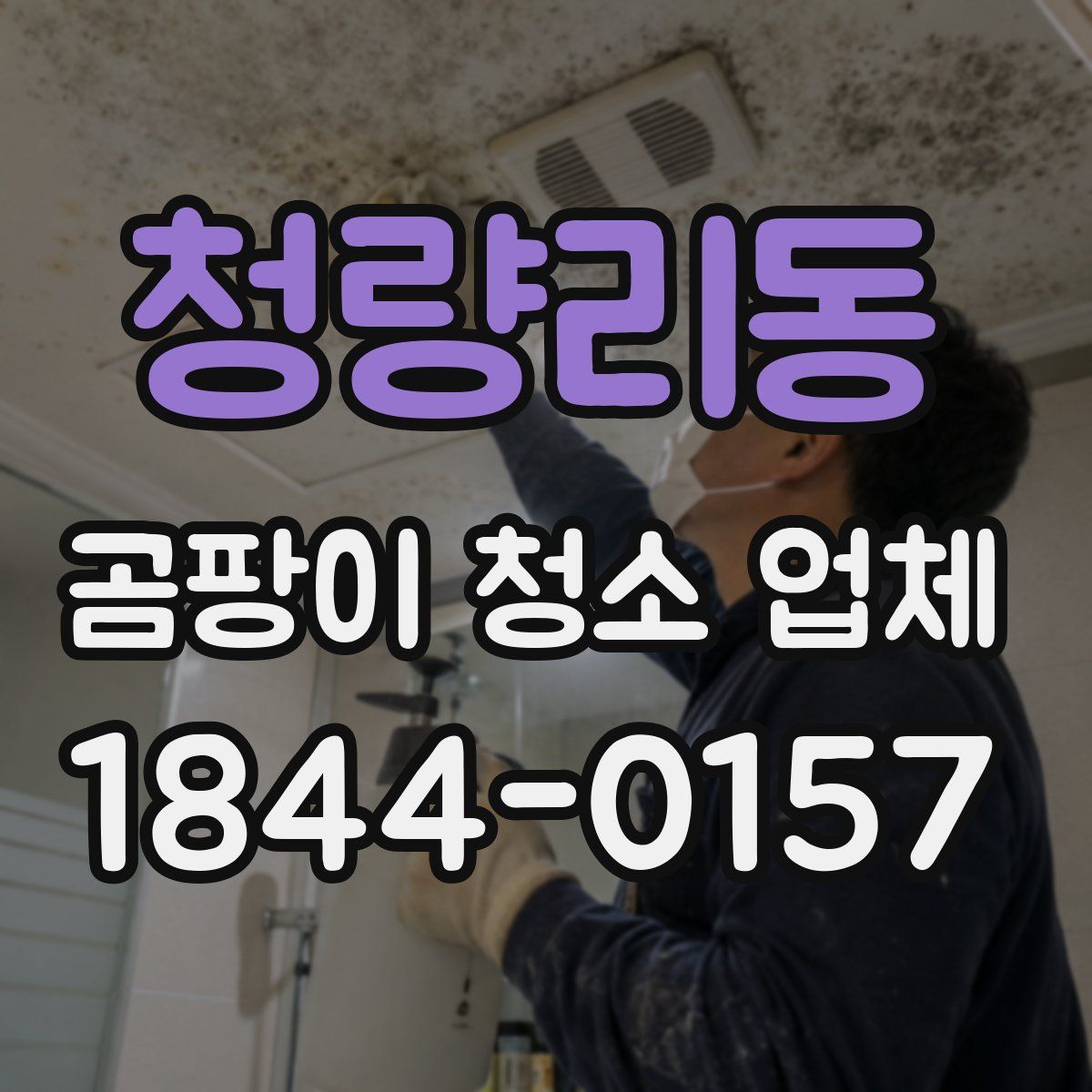 청량리동 곰팡이 청소 업체