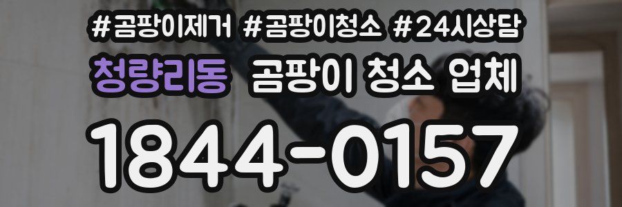 청량리동 곰팡이 청소 업체