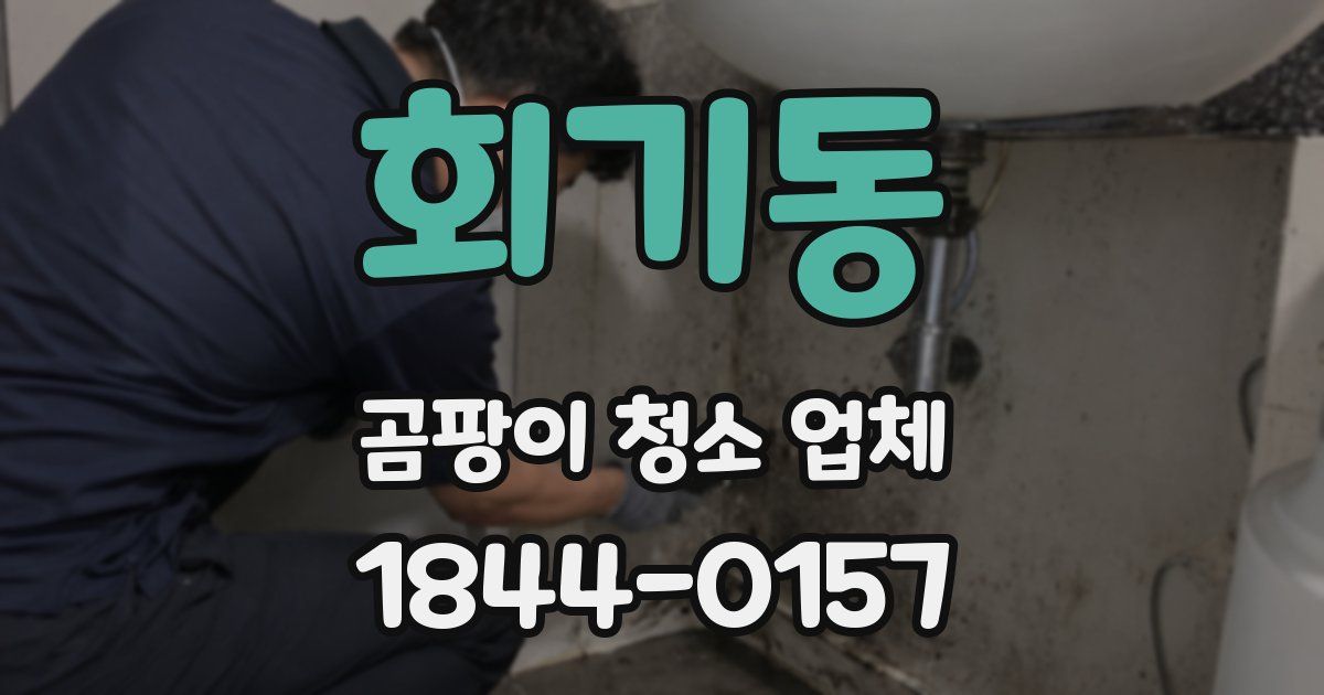 회기동 곰팡이 청소 업체