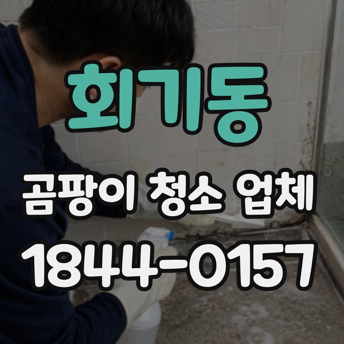 회기동 곰팡이 청소 업체