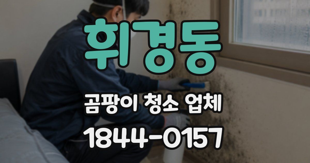 휘경동 곰팡이 청소 업체