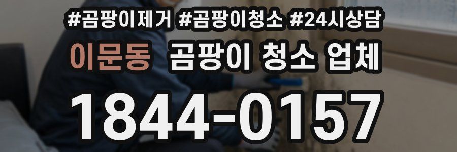 이문동 곰팡이 청소 업체
