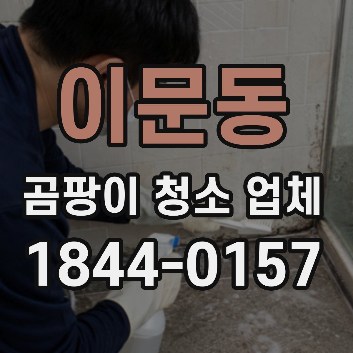 이문동 곰팡이 청소 업체