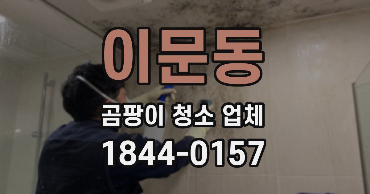 이문동 곰팡이 청소 업체