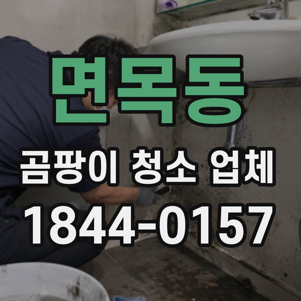 면목동 곰팡이 청소 업체