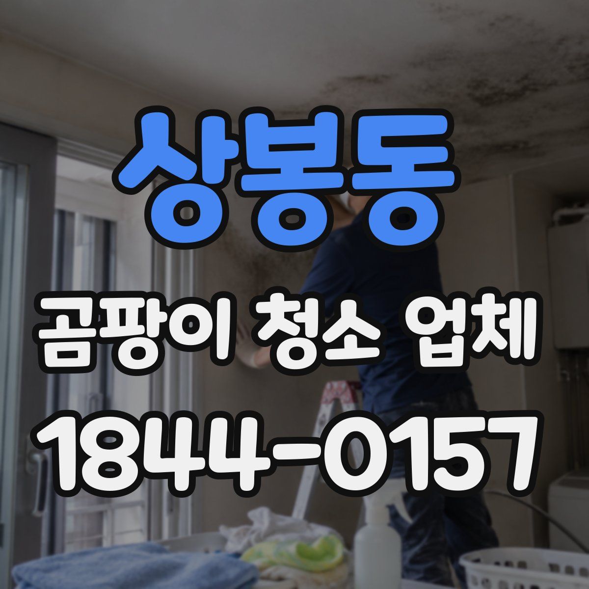 상봉동 곰팡이 청소 업체