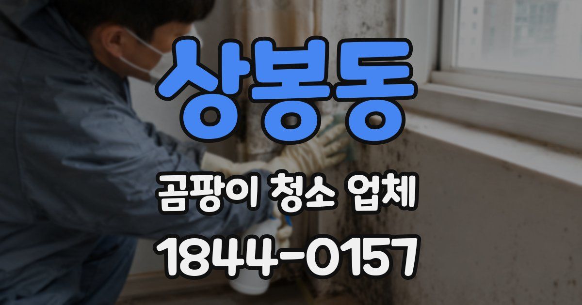 상봉동 곰팡이 청소 업체