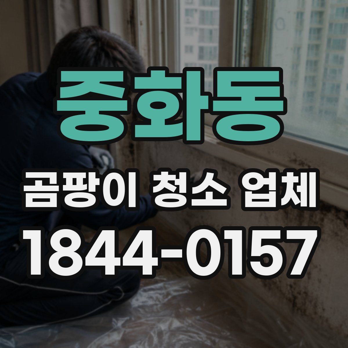 중화동 곰팡이 청소 업체