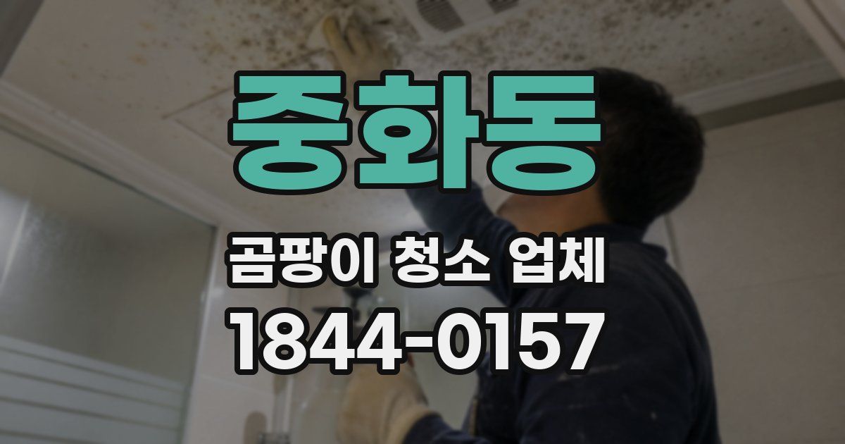 중화동 곰팡이 청소 업체