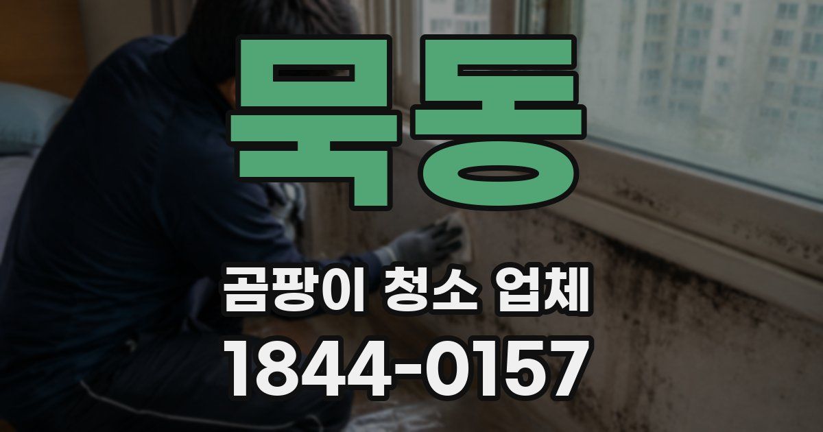 묵동 곰팡이 청소 업체