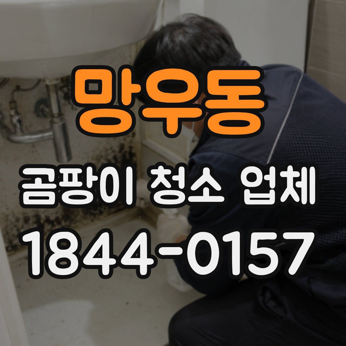 망우동 곰팡이 청소 업체