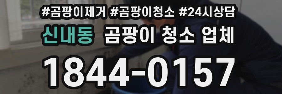 신내동 곰팡이 청소 업체