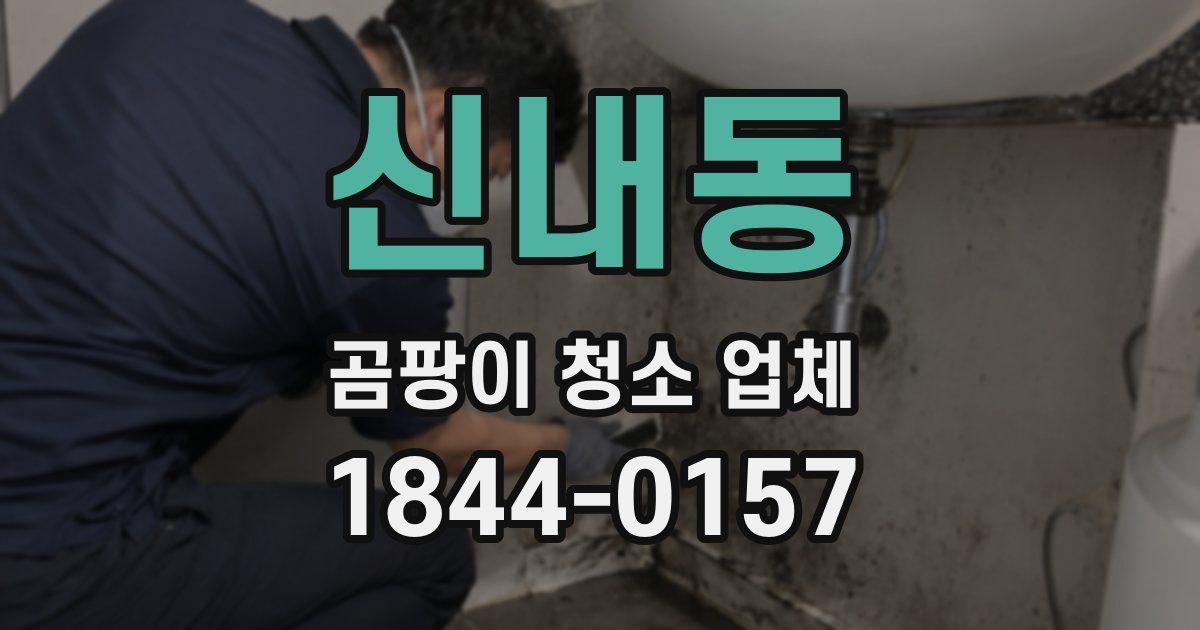 신내동 곰팡이 청소 업체
