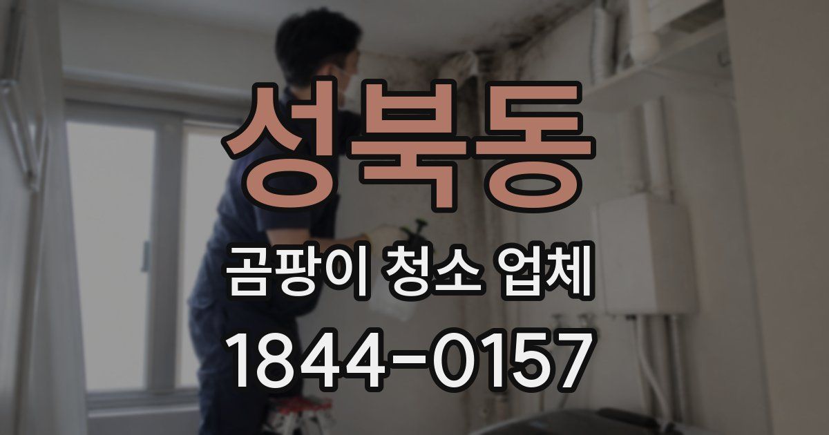 성북동 곰팡이 청소 업체