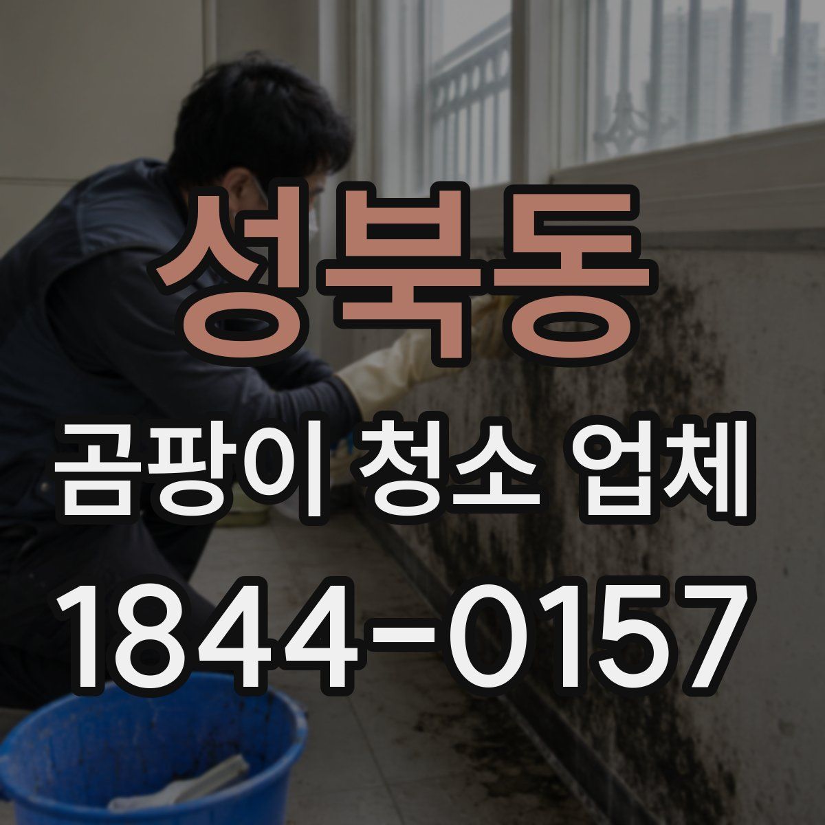 성북동 곰팡이 청소 업체